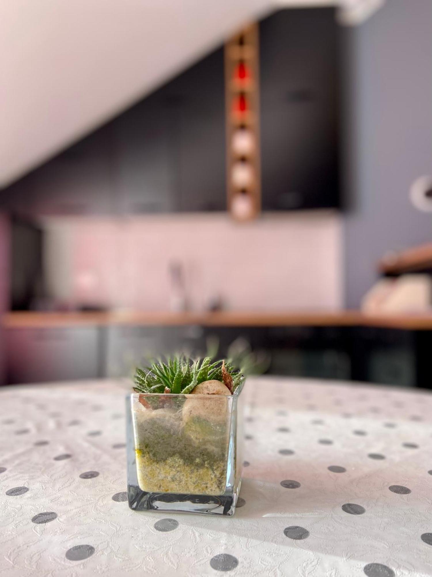 Banicevic Apartmani Thenovici Exterior photo